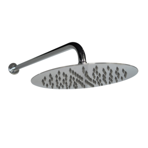 SHOWER ARM WITH SHOWER HEAD 10" 50030245901