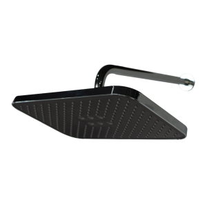 SHOWER ARM WITH SHOWER HEAD 50030260901