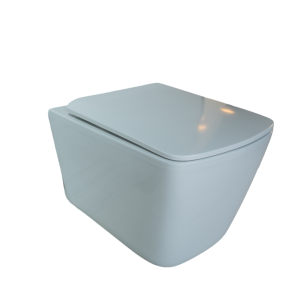 WALL HUNG TOILET WITH SEATCOVER TR2237