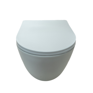 WALL HUNG TOILET WITH SEAT COVER TR2210-U20