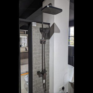RAIN SHOWER COMBINATION- 23 4601GM