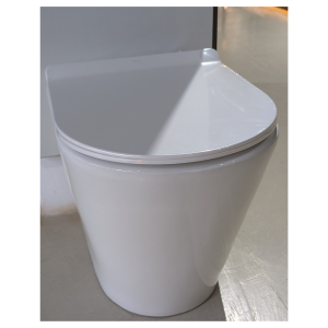 FLOOR STANDING TOILET 550*360*410 P-trap 180MM